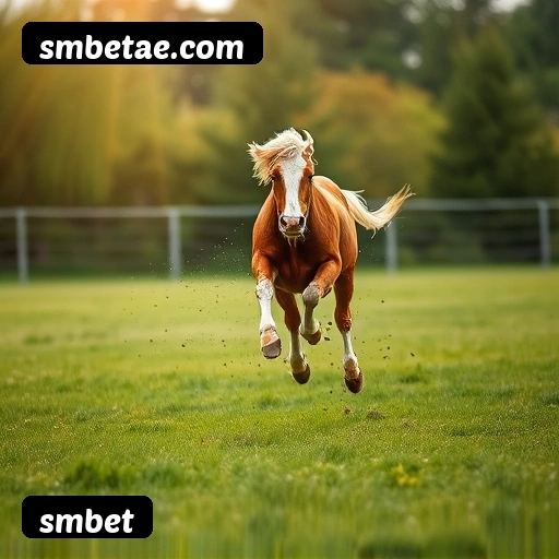Principais provedores de slots da smbet - NetEnt, Pragmatic Play, Play'n GO